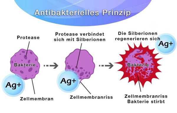 Antibakterielles Prinzip für Displays