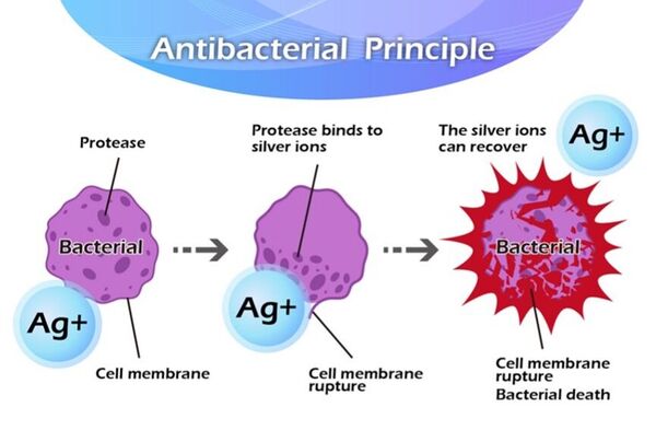 Antibacterial principle for displays