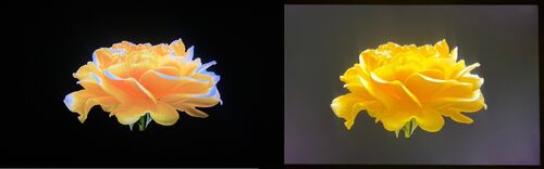 Mini-LED Hintergrundbeleuchtung